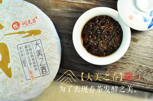 潤元昌精品普洱熟茶 春茶發(fā)酵的精粹之選